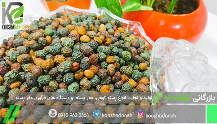 تولید کننده انواع پسته کوهی شیراز